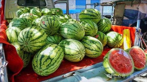 荷兰网红吃瓜事件真相是真的吗,真相揭秘，是真是假？  第3张