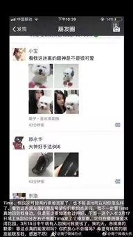 南宁爆料网友是谁啊视频,视频背后的神秘人物 第2张 南宁爆料网友是谁啊视频,视频背后的神秘人物 第2张